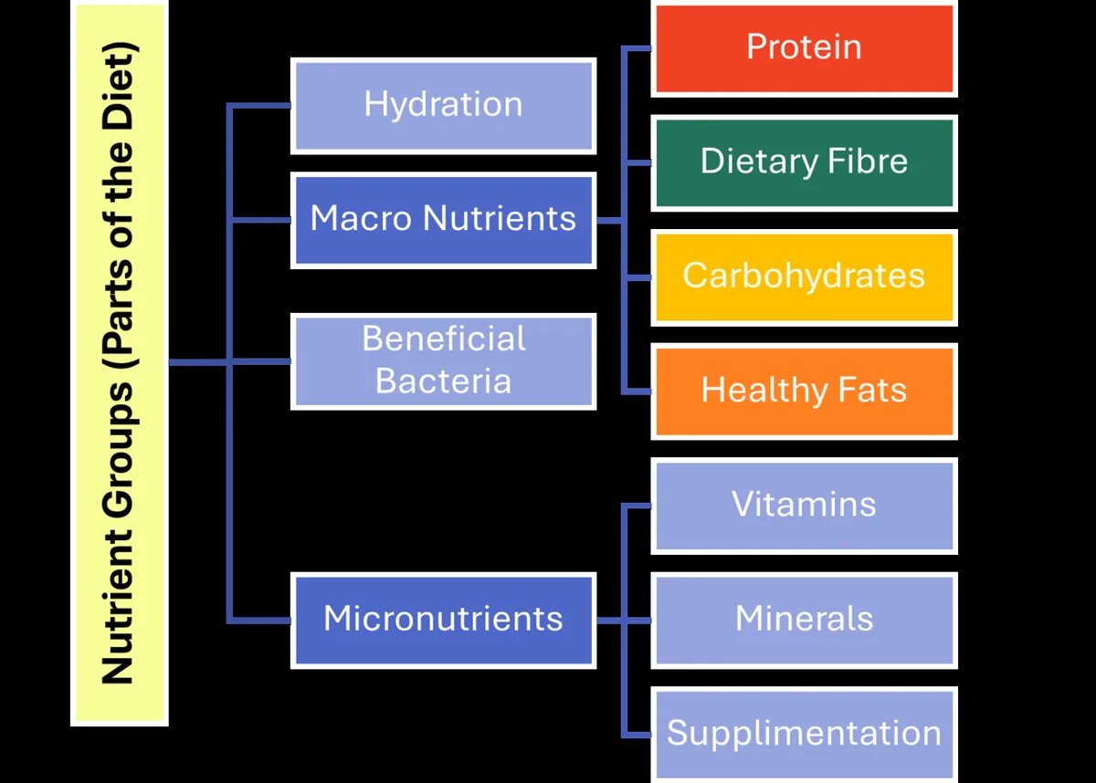 Healthy gut foods with desi ghee for digestion